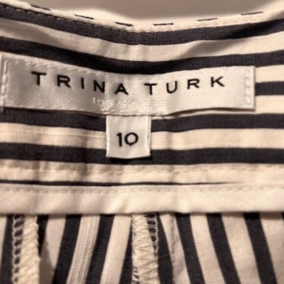 TRINA TURK wide leg striped pants - size 10 - Picture 4 of 6